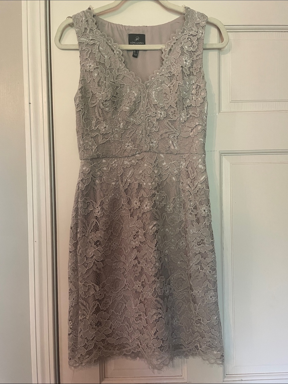 Adrianna Papell Sleeveless Lace A-Line Dress in Champagne—Size 2